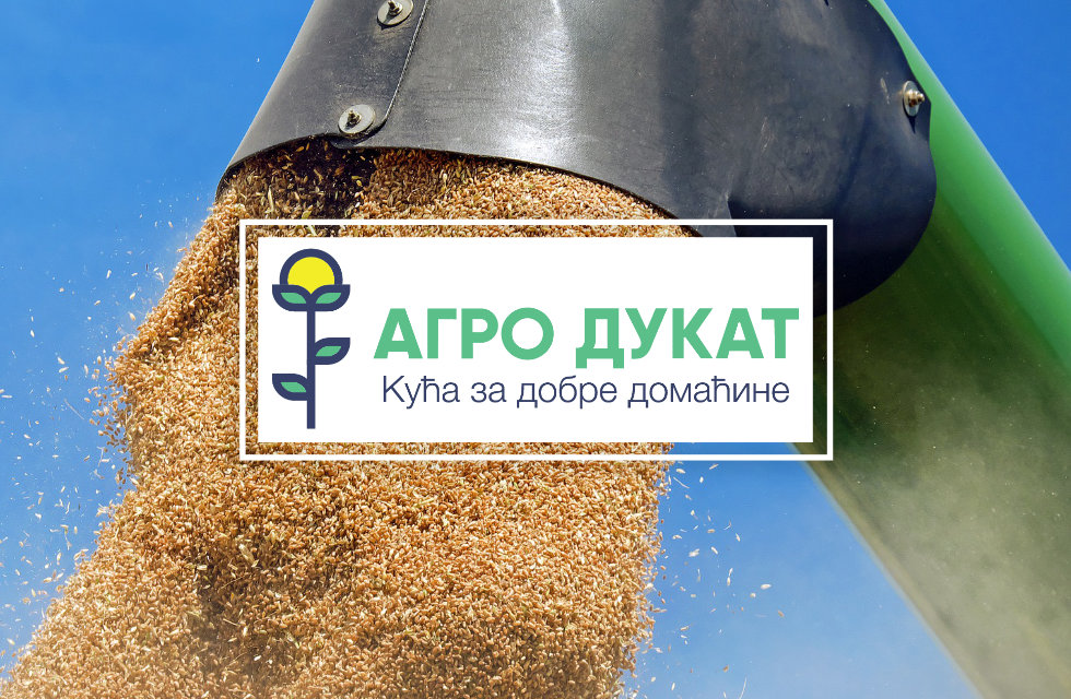 U firmi AGRO DUKAT počeo otkup pšenice ovogodišnjeg roda