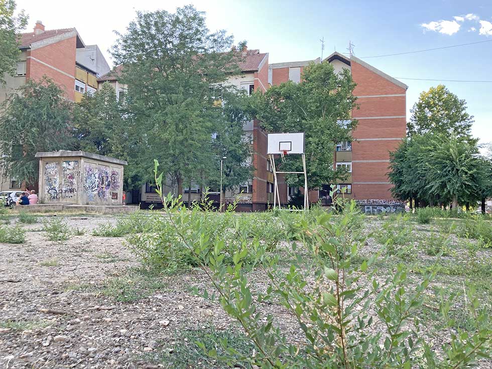 Korov zamenio decu na razrovanom košarkaškom terenu (Foto)