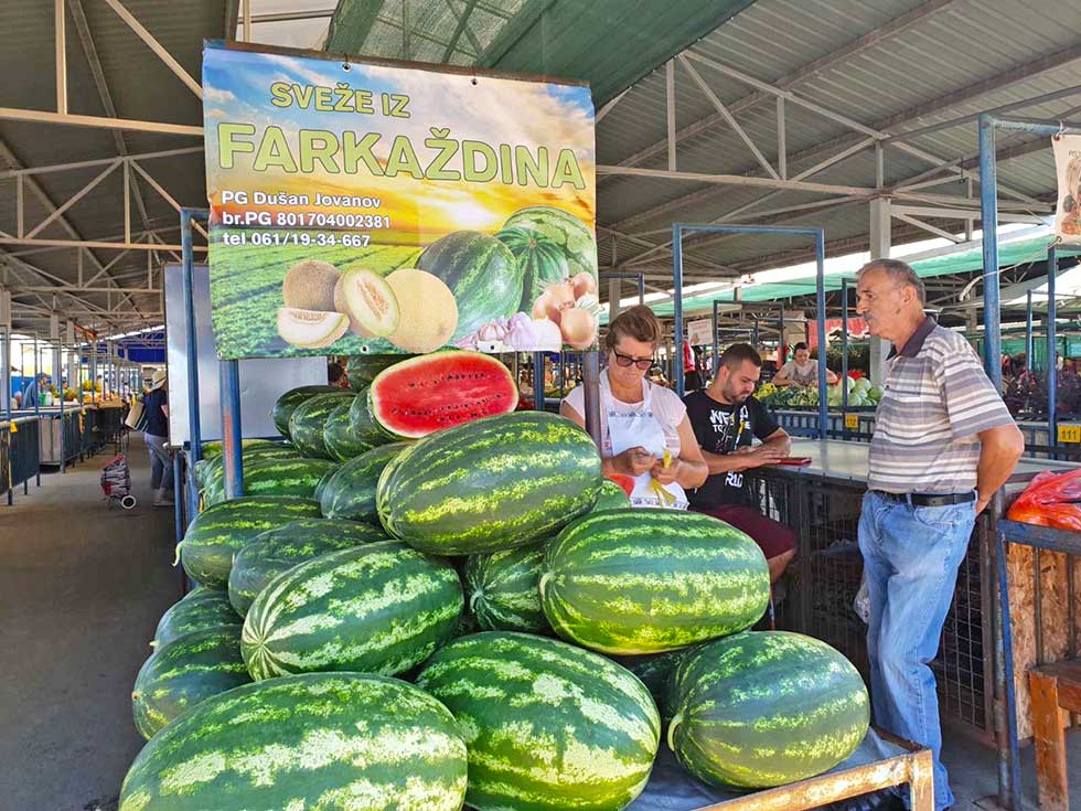 Domaće lubenice iz Farkaždina: Prinos manji, ali nikad nisu bile slađe
