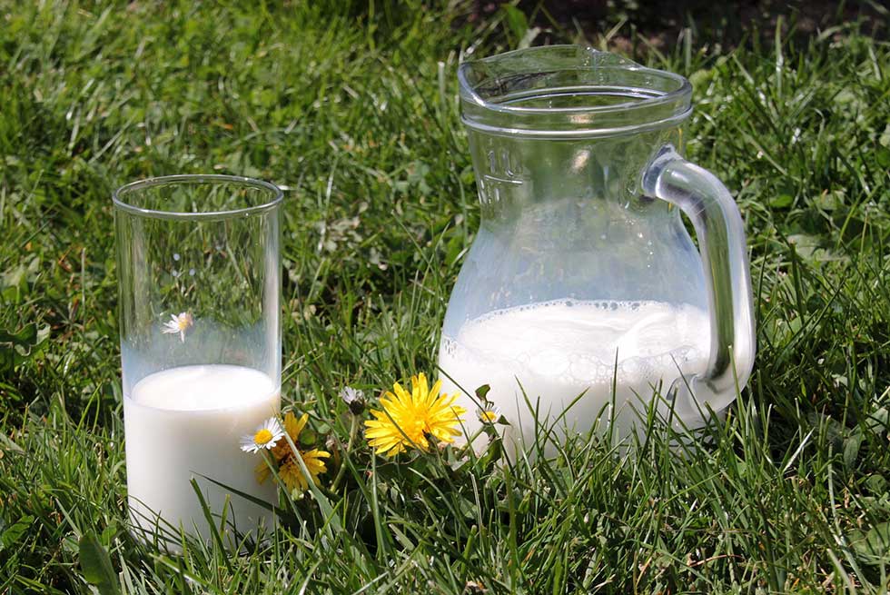 Ograničena cena mleka u pakovanju od jednog litra na 128,99 dinara