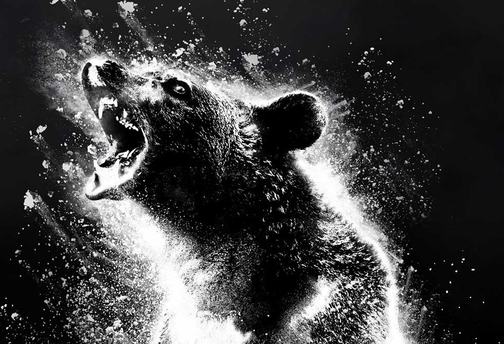 Verovali ili ne, divlji triler „Medved na kokainu“ je inspirisan istinitom pričom