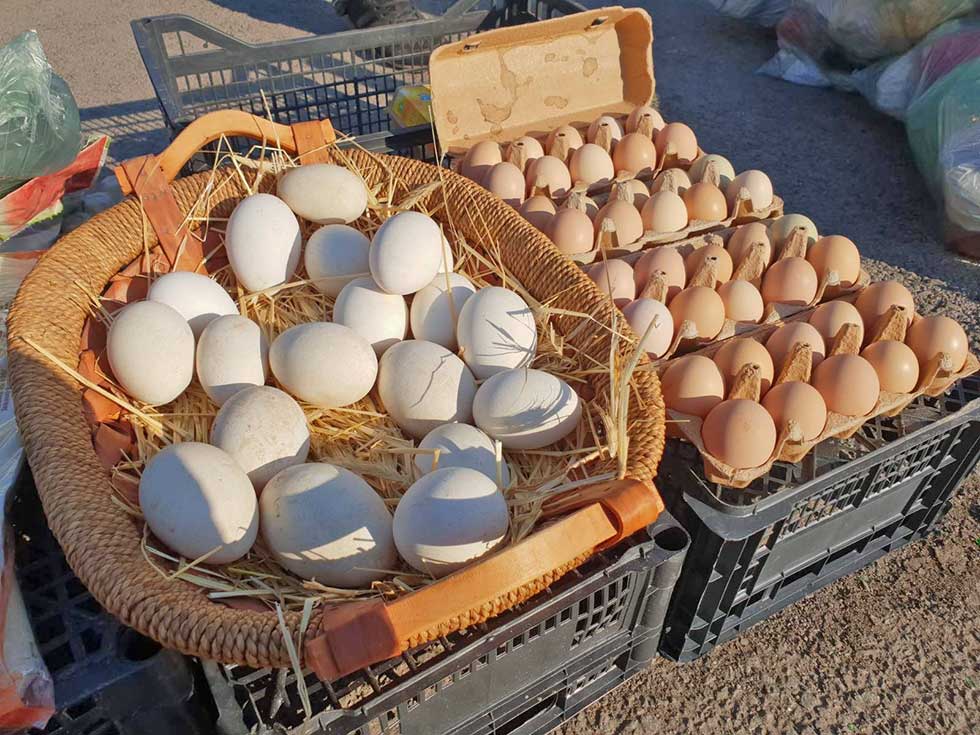 Hoće li cena jaja rasti uoči Uskrsa? Na Maloj pijaci smo našli i guščija, a evo koliko koštaju