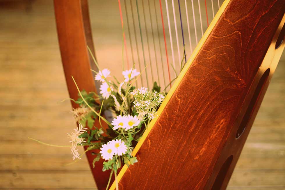 Vojvođanski festival harfe: Pred publiku će izaći učenici, studenti i profesori