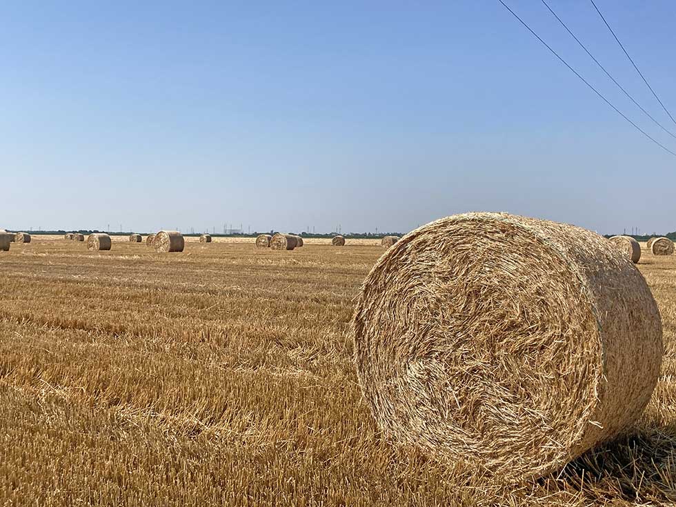 Cena poljoprivrednog zemljišta u srednjem Banatu raste iz godine u godinu