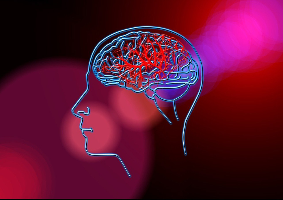 Stručnjaci upozoravaju: Svaka četvrta odrasla osoba će doživeti moždani udar