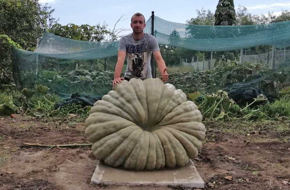 Najteža ludaja koju je proizveo Radovan Zakić težila je 444 kilograma!