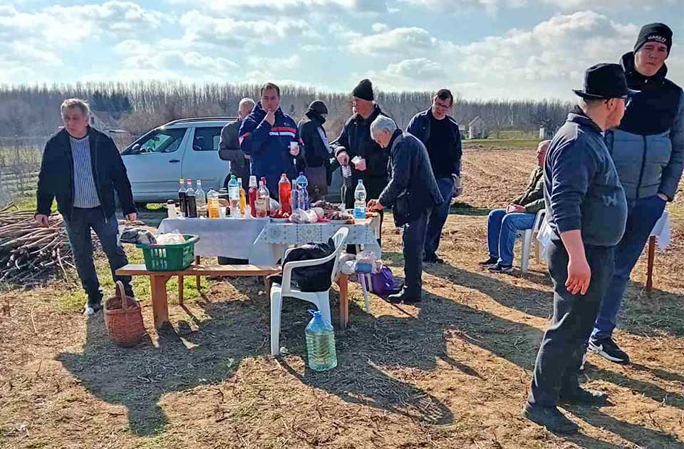 FOTO: Ovako je obeležen Sveti Trifun u taraškim vinogradima