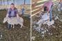 Šišanje ovaca: U ovčarniku Aleksandra Vijatova iz Tomaševca počeo veliki sezonski posao