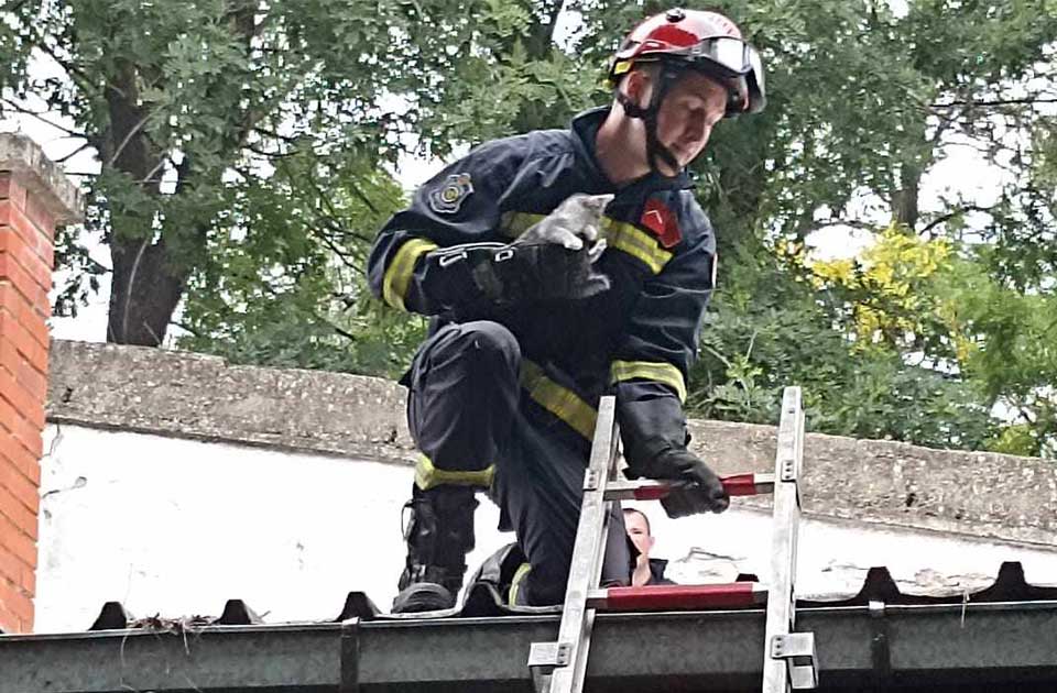 FOTO: Na poziv Crvenog krsta vatrogasci izašli na teren i spasili mače