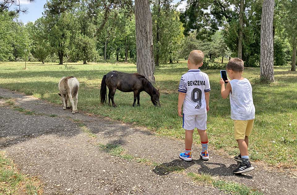 Sofija i Luka su najpopularnija imena dece u Srbiji, a koja su najčešća u našem okrugu