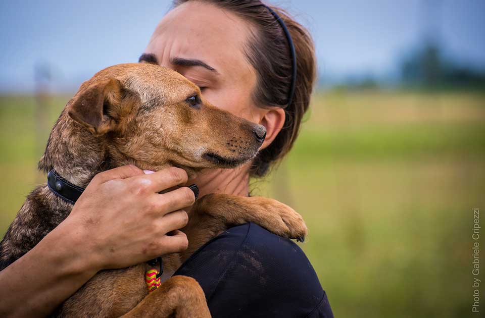 Udomi, ne kupuj: Maleni Ajgir je jedna maza i jako dobar pas