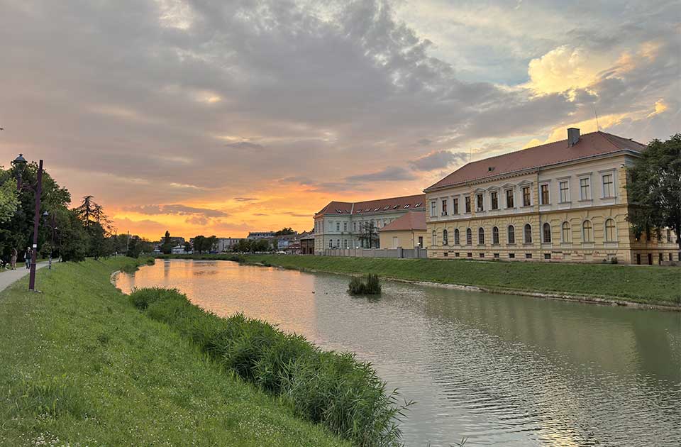 ciklonizacija angažovana na suzbijanju komaraca u zrenjaninu