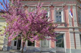 gradska narodna biblioteka žarko zrenjanin