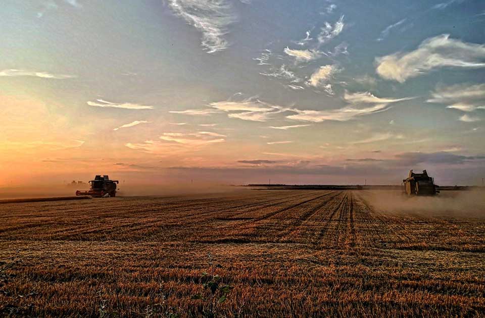 Najskuplje poljoprivredno zemljište u Srbiji plaćeno više od milion evra!