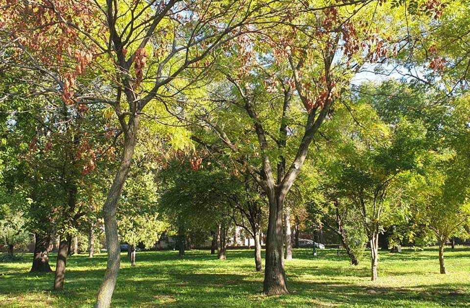 Radiće se još nešto u Šećeranskom parku, Gradska uprava raspisala javnu nabavku