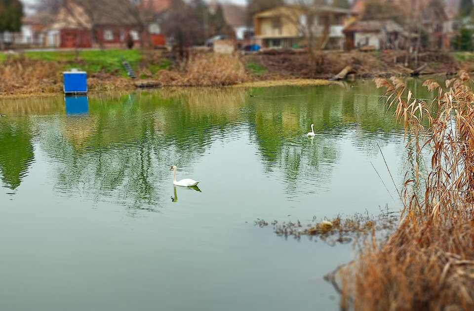 Zrenjanin je jutros osvanuo u minusu – subjektivni osećaj je bio još gori