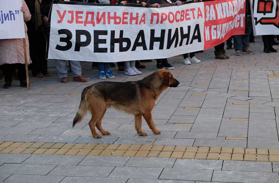 skup prosvetnih radnika u zrenjaninu