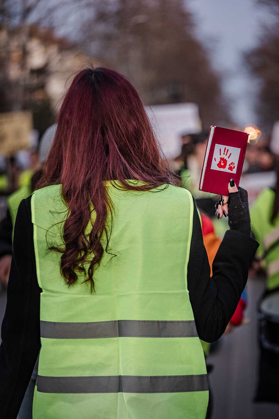 studentski protest u zrenjaninu