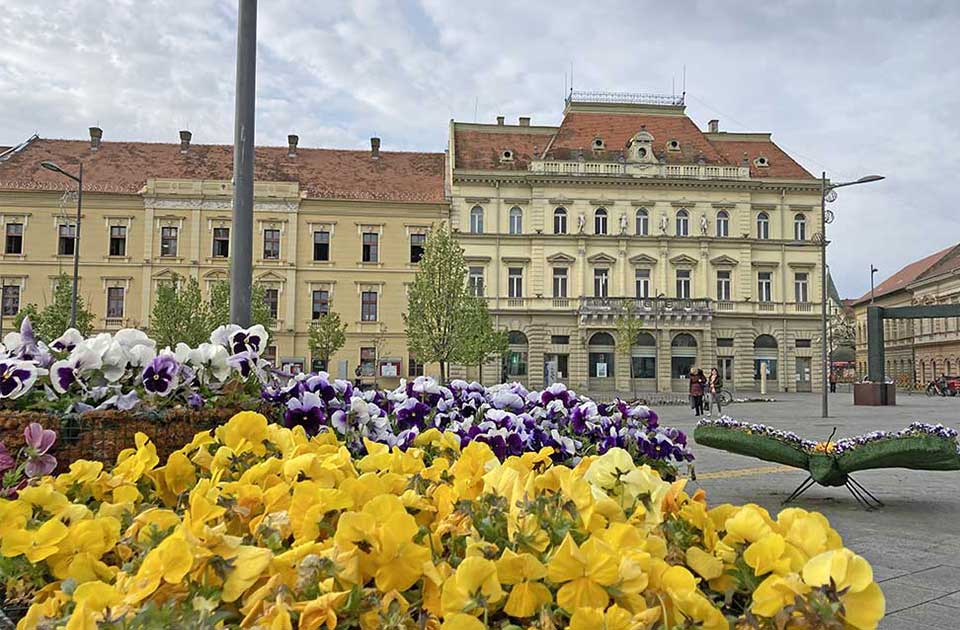 Građanski preokret: Časni ljudi da napuste projekat „Zrenjanin prestonica kulture Srbije“