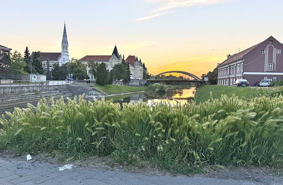 Nema stajanja: Rat sa komarcima se nastavlja od 24. maja do 8. juna Nema stajanja: Rat sa komarcima se nastavlja od 24. maja do 8. juna