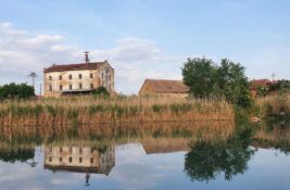 Ove nedelje počinju tretmani protiv komaraca iz vazduha i sa zemlje