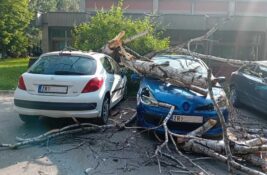 Nemili događaj u naselju Lesnina: Drvo palo na parkirane automobile