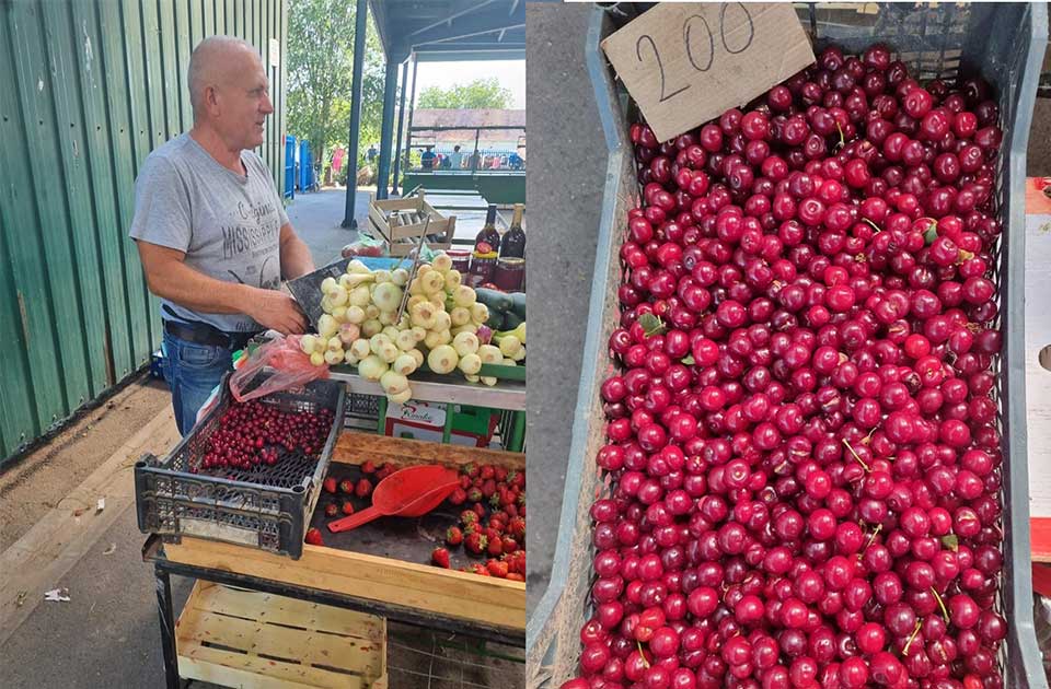 Nismo jeli papreno skupe trešnje, a izgleda da se ove godine nećemo najesti ni višanja Nismo jeli papreno skupe trešnje, a izgleda da se ove godine nećemo najesti ni višanja