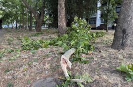 Grad u ponedeljak ostao bez struje i vode, stiglo objašnjenje šta se desilo