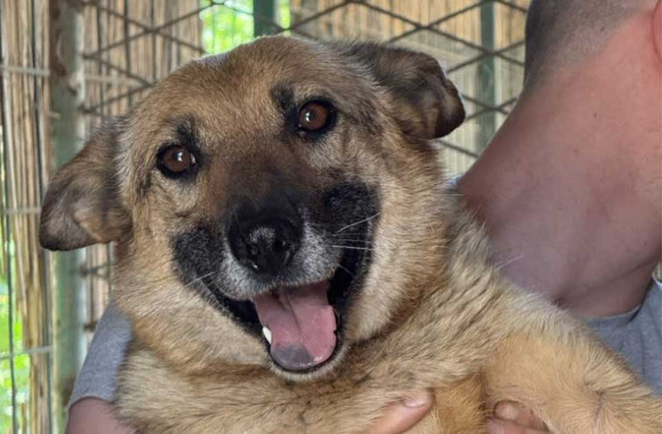 Udomi, ne kupuj: Namučena Liza je dane i noći provodila zatvorena u mračnoj šupi Udomi, ne kupuj: Namučena Liza je dane i noći provodila zatvorena u mračnoj šupi