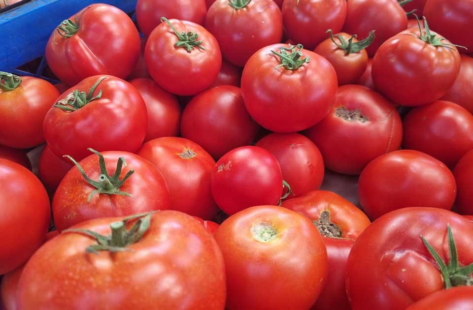 Prepune su pijace u Zrenjaninu paradajza, na tezgama ima sve više sorti