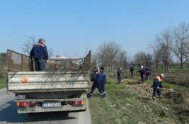 Zrenjanin godinama zanemaruje važno pitanje: Nula dinara za podizanje vetrozaštitnih pojaseva
