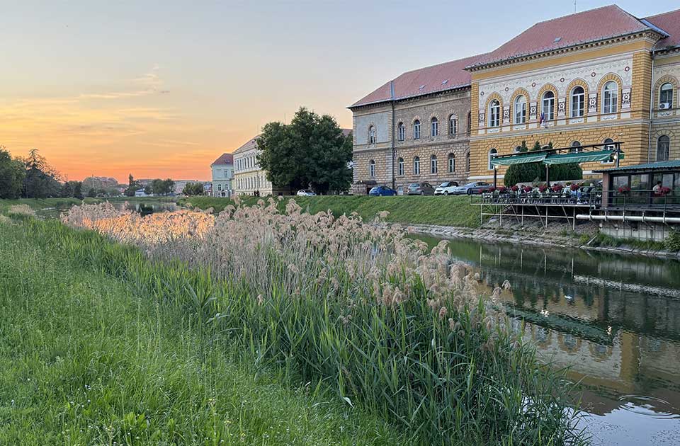 Borba sa komarcima se nastavlja i u septembru, večeras tretmani u Zrenjaninu