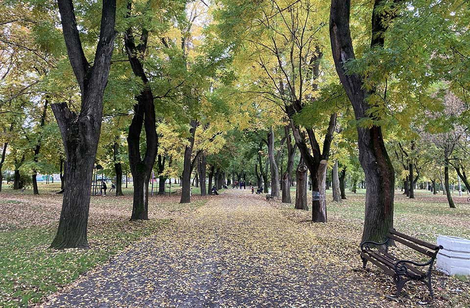 Danas zvanično počinje jesen, ali je zato temperatura iznenađujuća za ovo doba godine Danas zvanično počinje jesen, ali je zato temperatura iznenađujuća za ovo doba godine