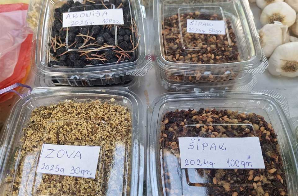 zova šipak