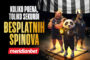 Partizan na terenu, spinovi u tvojim rukama!