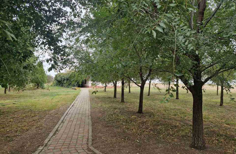 FOTO: Prodaje se salaš u Melencima – ovo su detalji! FOTO: Prodaje se salaš u Melencima – ovo su detalji!