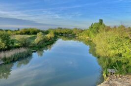 „Miriše na trulež“: Kvalitet površinskih voda u našem gradu ocenjen kao loš i veoma loš