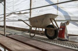 Beohemija planira da gradi magacin i nije joj potrebna procena uticaja na životnu sredinu