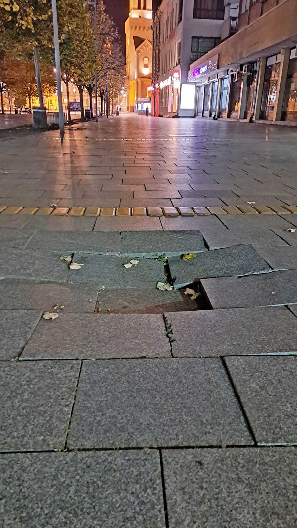 kralja aleksandra I karađorđevića