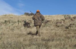 Na teritoriji opštine Sečanj ustanovljeno lovište „Ribnjak – Laštovo“