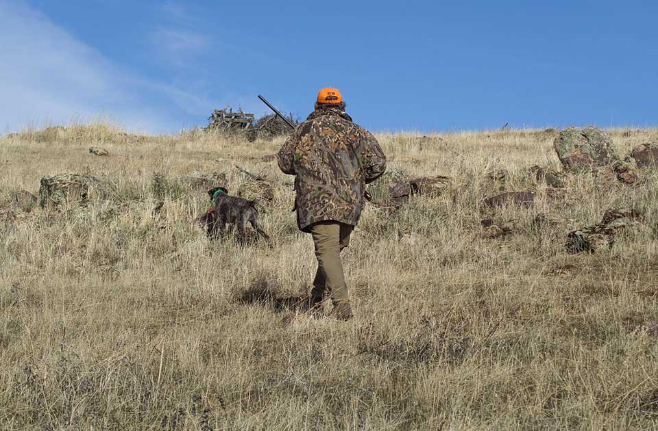 Na teritoriji opštine Sečanj ustanovljeno lovište „Ribnjak – Laštovo“ Na teritoriji opštine Sečanj ustanovljeno lovište „Ribnjak – Laštovo“