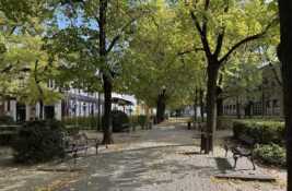 Opština ostaje bez mladih: Novi Bečej objavio dokument koji otkriva ozbiljne probleme