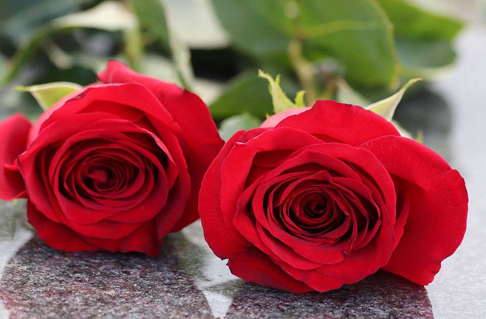 Kada je najteže, Božur je tu: Sigurna podrška u trenucima najveće boli