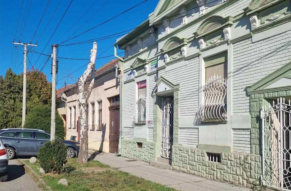 stabla u ulici ive lole ribara