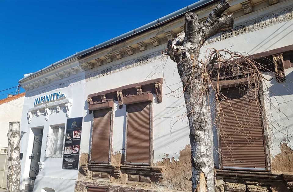 stabla u ulici ive lole ribara