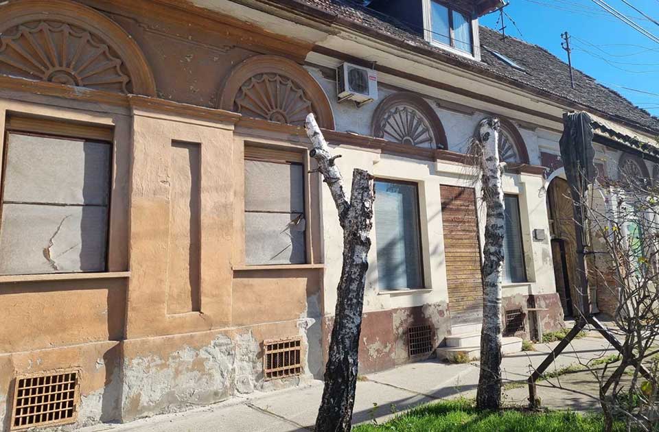 FOTO: Stradaju stabla u Ulici Ive Lole Ribara – seča bez ikakvog valjanog obrazloženja FOTO: Stradaju stabla u Ulici Ive Lole Ribara – seča bez ikakvog valjanog obrazloženja