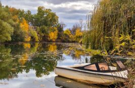 Gradiće se turistički kamp na Tamišu u Sečnju: Za prvu fazu radova 30 miliona dinara