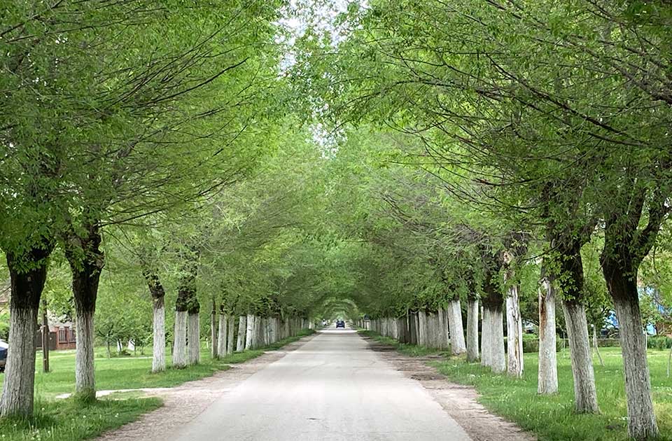 Na 80 odsto ulica u Belom Blatu i dalje se nalazi kaldrma Na 80 odsto ulica u Belom Blatu i dalje se nalazi kaldrma