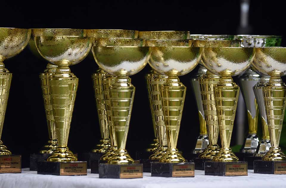 Zrenjaninski učenici među ovogodišnjim dobitnicima nagrade „Takmičari generacije“