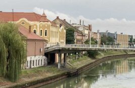 Komarci nisu posustajali ni prošle godine: Kako je tekla borba u Zrenjaninu